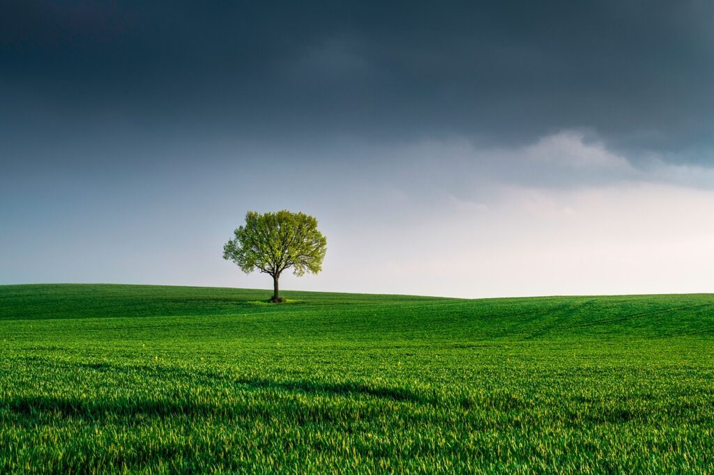 Agrivoltaico vantaggi per l'ambiente